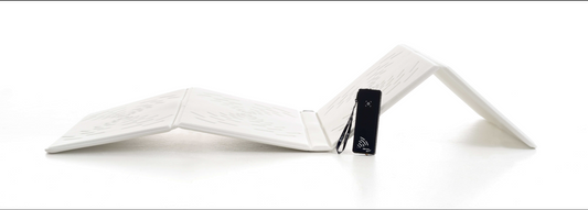 OMI PADS PEMF Beyond Mattress