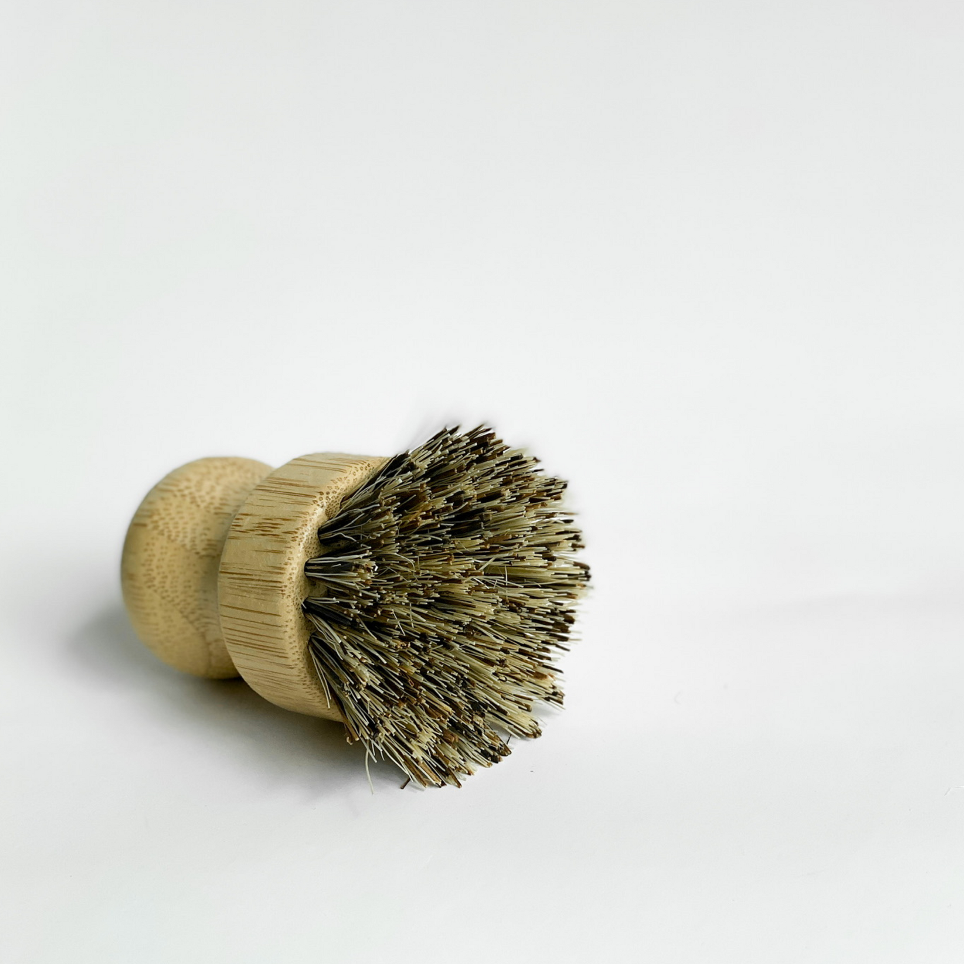 Multipurpose Brush - RE:HEALTH