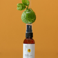 Chrysanthemum and Bergamot Body Wash (500ml)