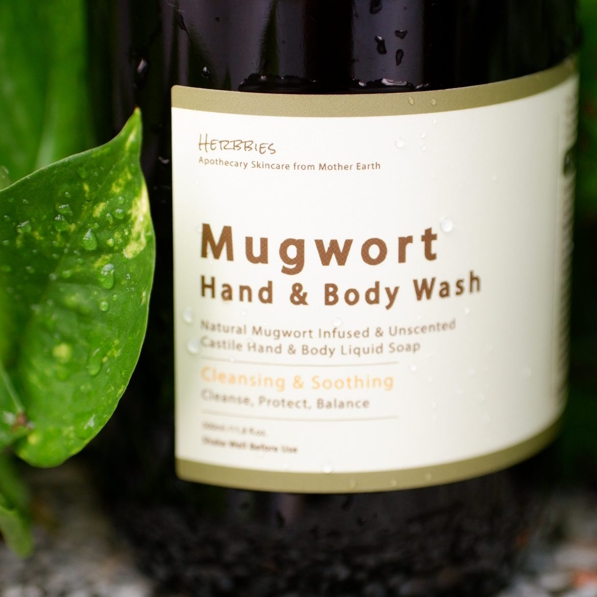 Mugwort Natural Castile Hand & Body Wash (500ml)