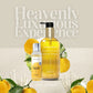 Midnight Shikoku Shower Oil 100 ml